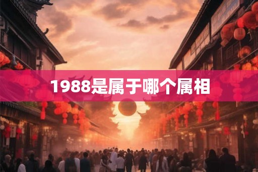1988是属于哪个属相