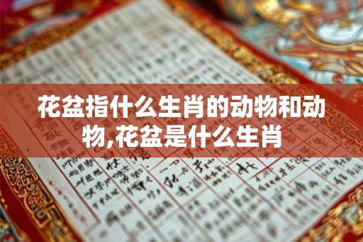 花盆指什么生肖的动物和动物,花盆是什么生肖 花盆指什么生肖的动物和动物,花盆是什么生肖