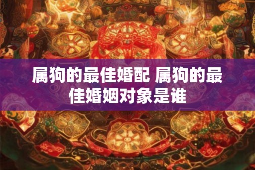 属狗的最佳婚配 属狗的最佳婚姻对象是谁