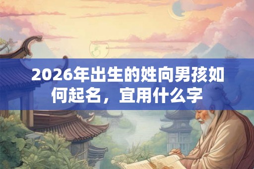 2026年出生的姓向男孩如何起名，宜用什么字