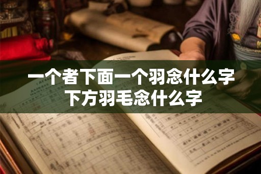 一个者下面一个羽念什么字 下方羽毛念什么字
