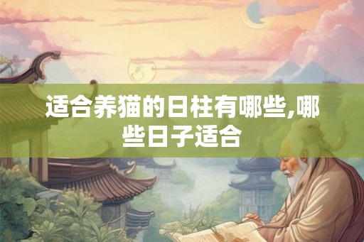 适合养猫的日柱有哪些,哪些日子适合