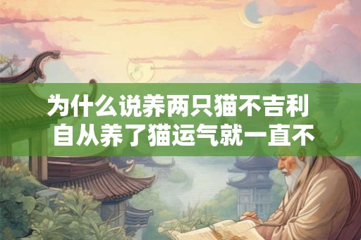 为什么说养两只猫不吉利  自从养了猫运气就一直不好