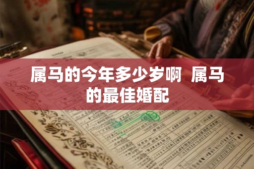 属马的今年多少岁啊 属马的最佳婚配 属马的今年多少岁啊 属马的最佳婚配