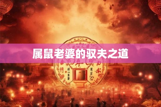 属鼠老婆的驭夫之道