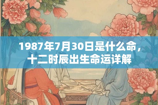 1987年7月30日是什么命，十二时辰出生命运详解