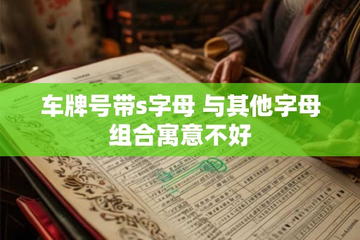 车牌号带s字母 与其他字母组合寓意不好