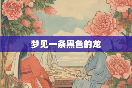 梦见一条黑色的龙