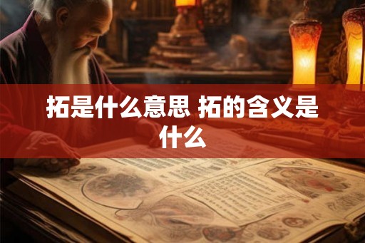 拓是什么意思 拓的含义是什么 拓是什么意思 拓的含义是什么
