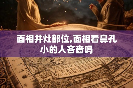 面相井灶部位,面相看鼻孔小的人吝啬吗