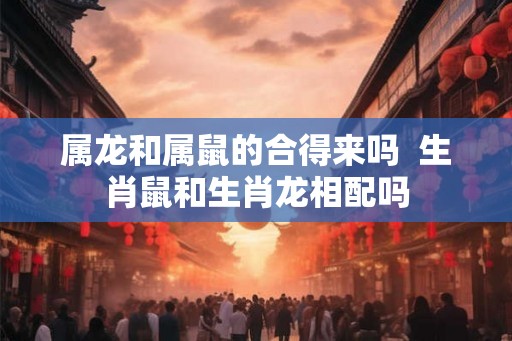 属龙和属鼠的合得来吗  生肖鼠和生肖龙相配吗