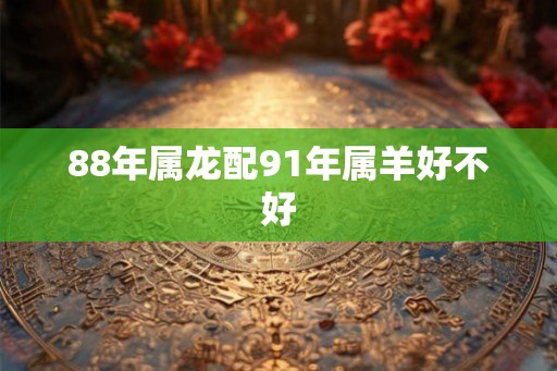 88年属龙配91年属羊好不好