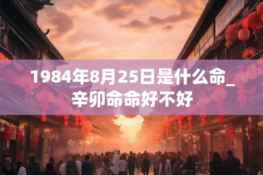1984年8月25日是什么命_辛卯命命好不好