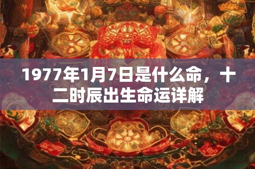 1977年1月7日是什么命，十二时辰出生命运详解