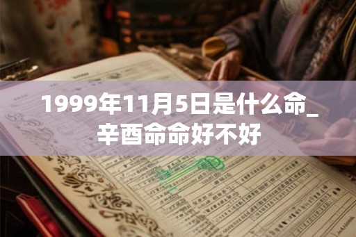 1999年11月5日是什么命_辛酉命命好不好