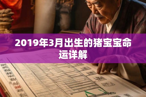 2019年3月出生的猪宝宝命运详解
