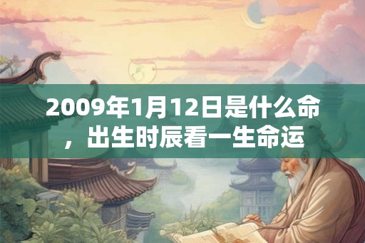 2009年1月12日是什么命，出生时辰看一生命运