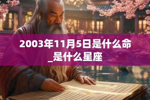 2003年11月5日是什么命_是什么星座