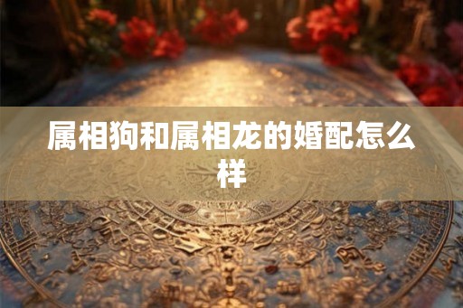 属相狗和属相龙的婚配怎么样 属相狗和属相龙的婚配怎么样