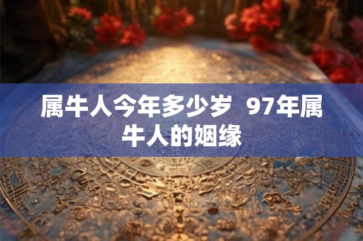 属牛人今年多少岁  97年属牛人的姻缘