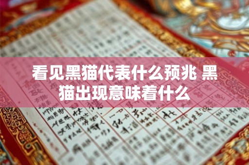 看见黑猫代表什么预兆 黑猫出现意味着什么