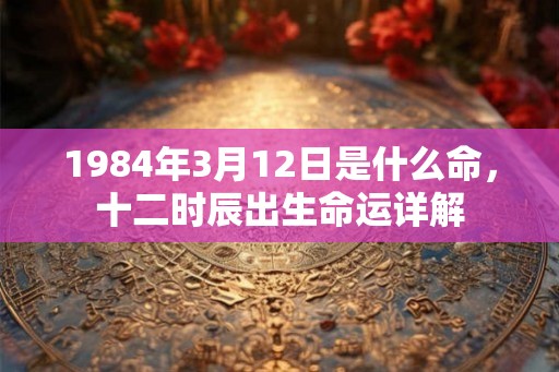 1984年3月12日是什么命，十二时辰出生命运详解