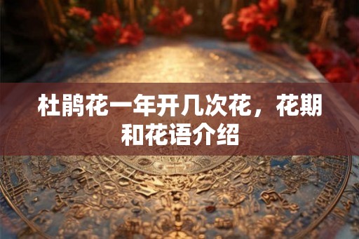 杜鹃花一年开几次花，花期和花语介绍