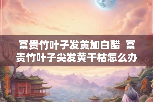 富贵竹叶子发黄加白醋  富贵竹叶子尖发黄干枯怎么办
