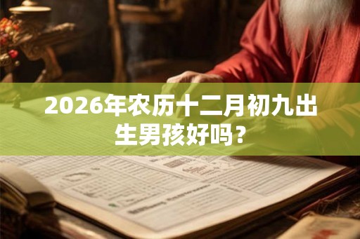 2026年农历十二月初九出生男孩好吗？