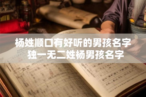 杨姓顺口有好听的男孩名字  独一无二姓杨男孩名字