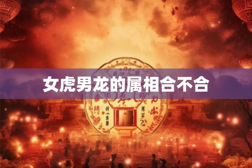 女虎男龙的属相合不合