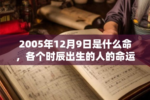 2005年12月9日是什么命，各个时辰出生的人的命运