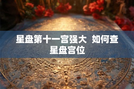 星盘第十一宫强大  如何查星盘宫位