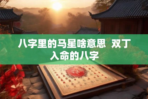 八字里的马星啥意思  双丁入命的八字