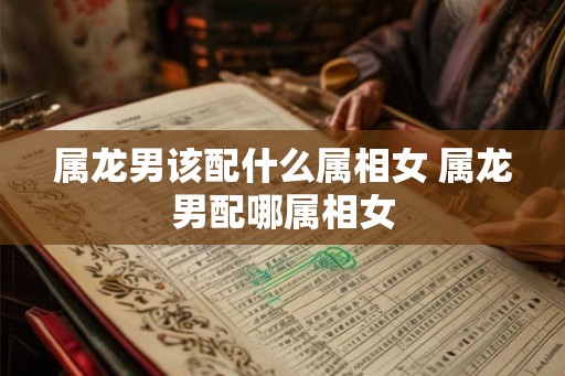 属龙男该配什么属相女 属龙男配哪属相女