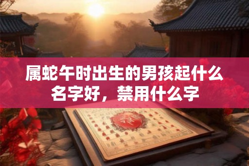 属蛇午时出生的男孩起什么名字好，禁用什么字