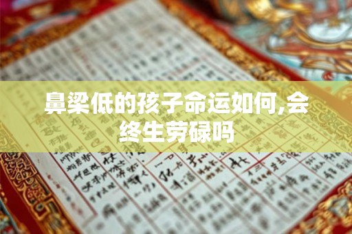 鼻梁低的孩子命运如何,会终生劳碌吗