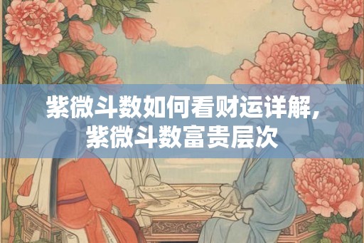 紫微斗数如何看财运详解,紫微斗数富贵层次