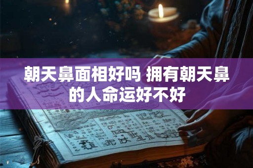 朝天鼻面相好吗 拥有朝天鼻的人命运好不好