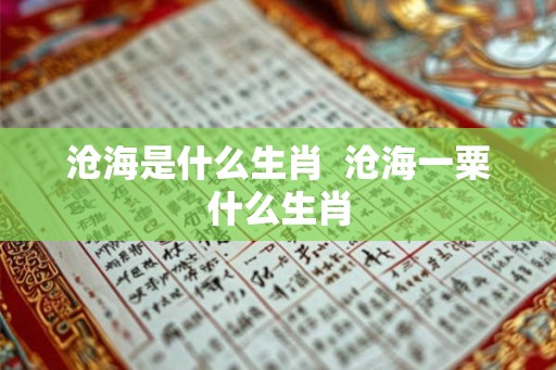 沧海是什么生肖  沧海一粟什么生肖
