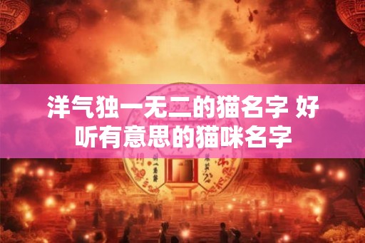 洋气独一无二的猫名字 好听有意思的猫咪名字