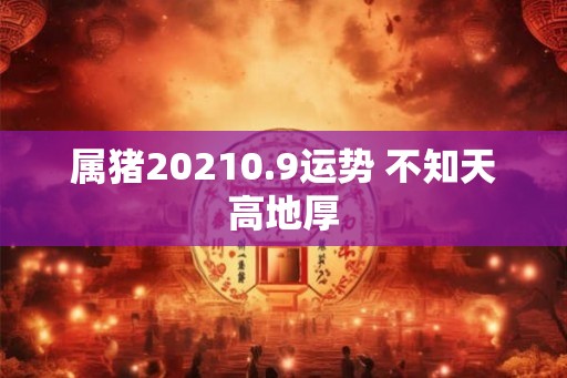 属猪20210.9运势 不知天高地厚