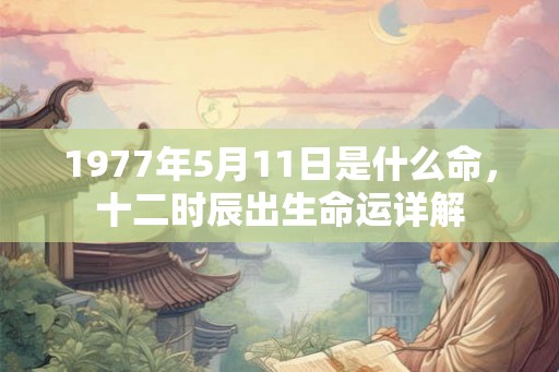 1977年5月11日是什么命，十二时辰出生命运详解