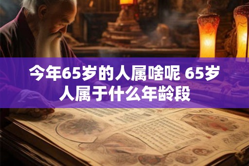 今年65岁的人属啥呢 65岁人属于什么年龄段