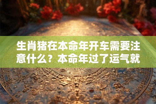 生肖猪在本命年开车需要注意什么？本命年过了运气就会好？