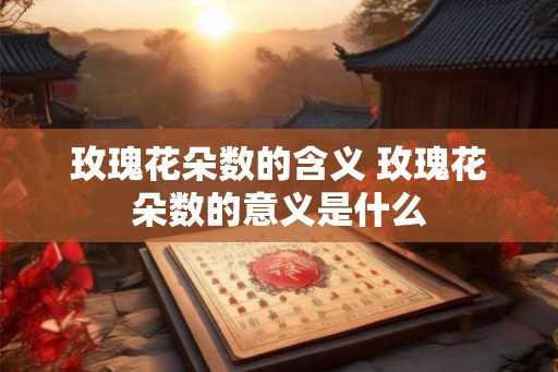 玫瑰花朵数的含义 玫瑰花朵数的意义是什么