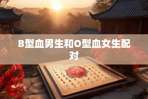 B型血男生和O型血女生配对