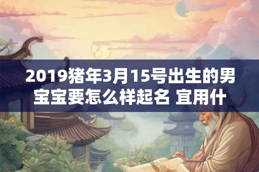2019猪年3月15号出生的男宝宝要怎么样起名 宜用什么字