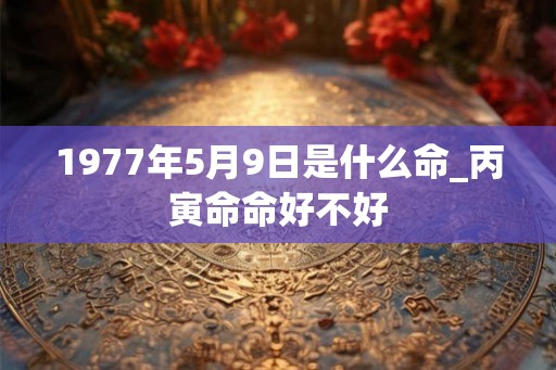 1977年5月9日是什么命_丙寅命命好不好