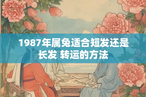 1987年属兔适合短发还是长发 转运的方法